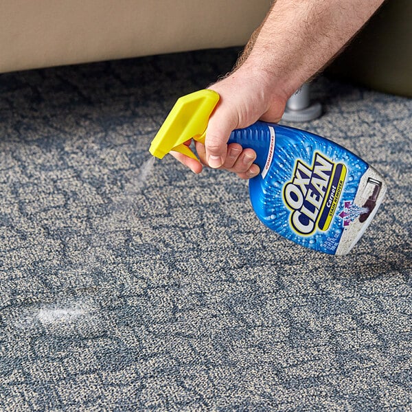 Carpet Cleaners