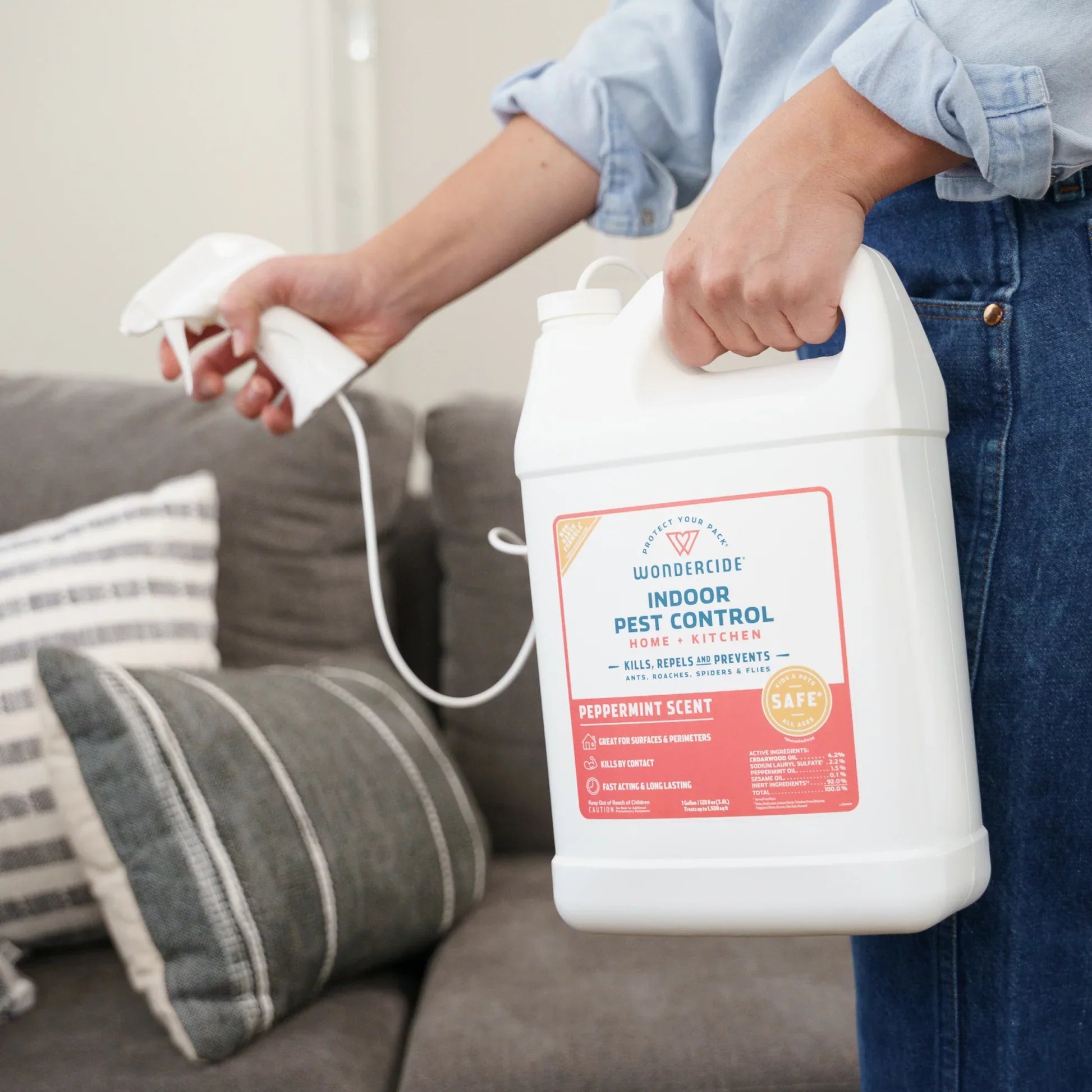 Indoor Insect & Pest Control