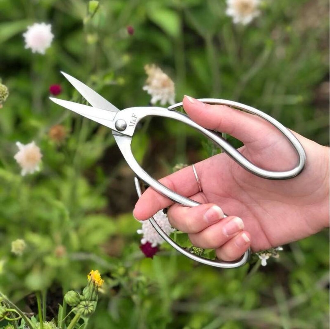 Cutting & Pruning Tools