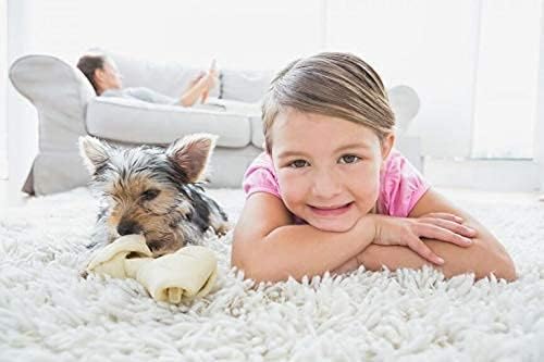 Capture Carpet & Rug Dry Cleaner (4lb) Pet Stain & Odor Neutralizer (32 oz), Pet Stain Remover for Carpet, Rug, Couch, Car & Upholstery - Bundle