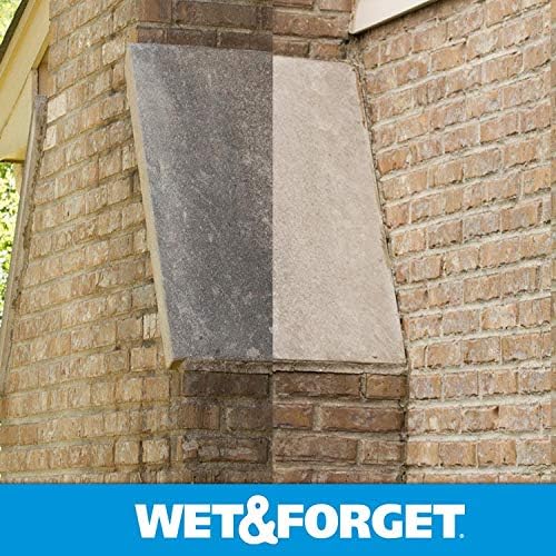 Wet & Forget Moss, Mold, Mildew, & Algae Stain Remover Multi-Surface Outdoor Cleaner Concentrate, Original, 64 Fluid Ounces (2 Pack)