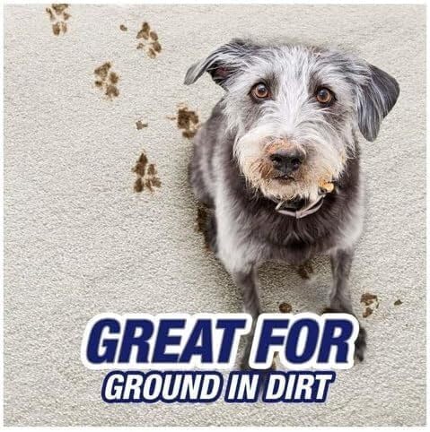 R'esolves Pet Expert High Traffic Carpet Cleaner Foam, 3X Pet Hair and Dirt Removal, 22oz, 1 Count