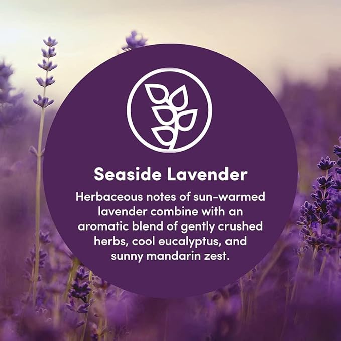 Clean Revolution Natural Fabric Softener Dryer Sheets, 80 Sheets, 160 Loads, Seaside Lavender, Naturally Derived, Sensitive Skin Safe, Made in the USA