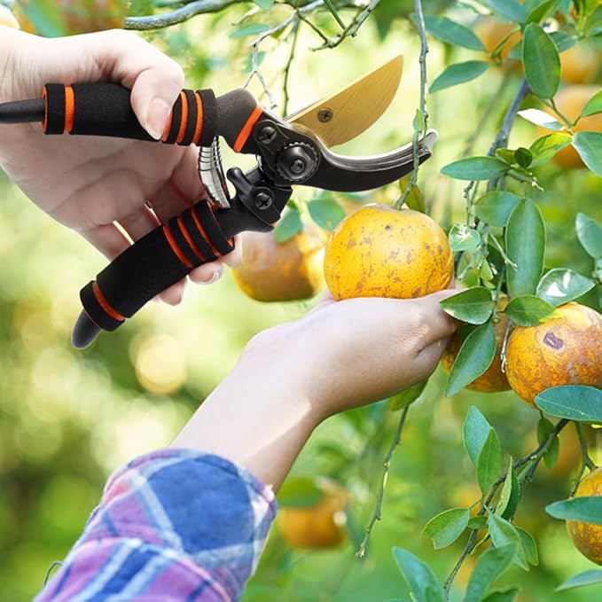 Garden Shears, Pruning Clippers, Professional Straight Blade Hand Shears Heavy Duty, Hedge Shears, 8" Hand Clippers with Rubberized Handles, Plant Trimming Scissors for Gardening, Shrub