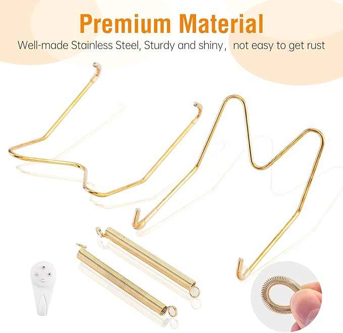Plate Hangers for The Wall, Suitable for 9-11 inch Decorative Plate, Stainless Steel Wire Plate Holder with Wall Hooks and Rubber tip Protectors, Plate Hangers for Displaying Plates, Platter, Gold