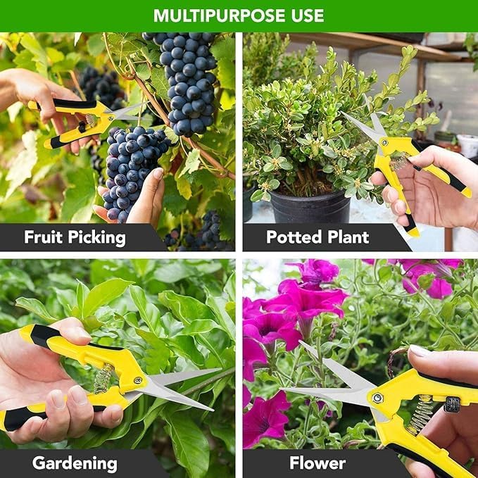 iPower 6.5 Inch Garden Hand Pruner Shears with Straight Stainless Steel Scissors, for Hydroponic Trimming Herb/Flowers/Vegetables/Plants, Yellow, 3-Pack