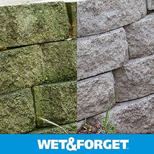 Wet & Forget Moss, Mold, Mildew, & Algae Stain Remover Multi-Surface Outdoor Cleaner Concentrate, Original, 64 Fluid Ounces (2 Pack)
