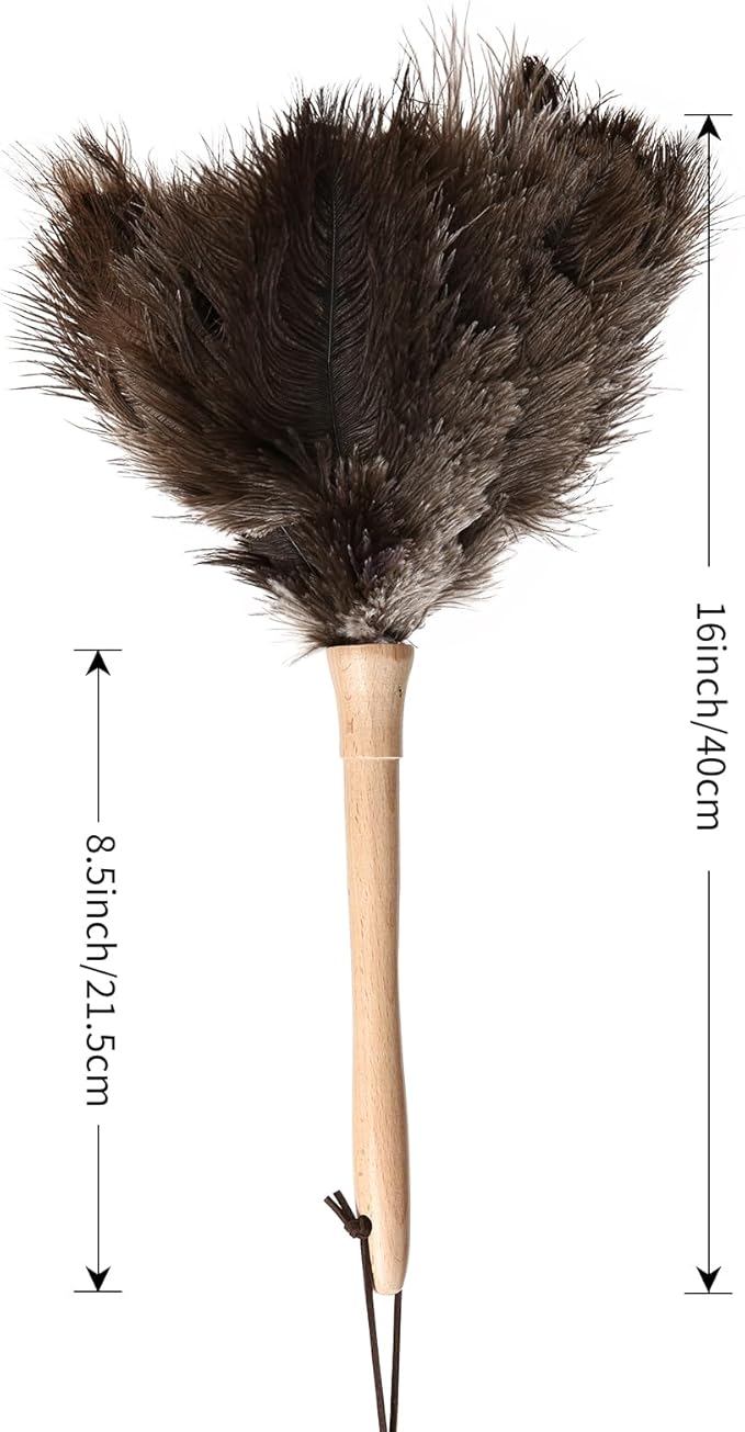 Ostrich Duster Fluffy Natural Feather Dusters with Wooden Handle Cleaning Supplies for Home Office Car (2, 16inch)