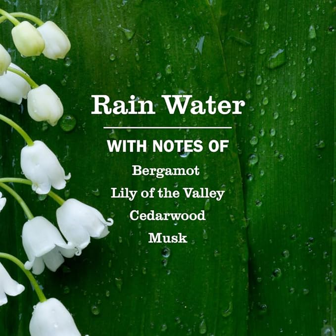 Mrs. Meyer's Clean Day Laundry Scent Boosters, Rain Water Scent, 18oz