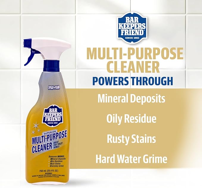 Bar Keepers Friend MORE Spray + Foam Multipurpose Cleaner (2 x 25.4 oz) & Dish Fish Dual Sponge for Bathroom, Kitchen & Outdoor Use on Stainless Steel, Aluminum, Brass, Tile, Ceramic, Porcelain & More