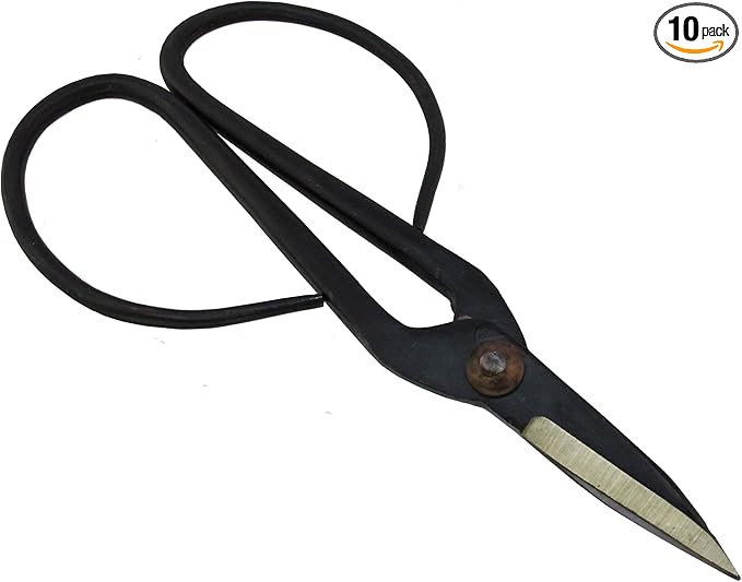 BambooMN Brand - 7.25" Black Bonsai Shear - 10 Shears