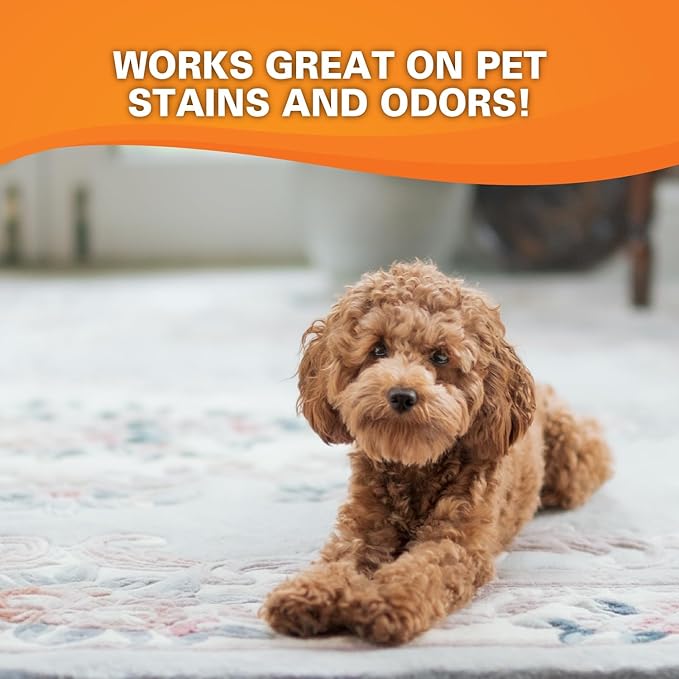 Krud Kutter CR012 Instant Carpet Cleaner/Stain Remover Plus Deodorizer, Gallon