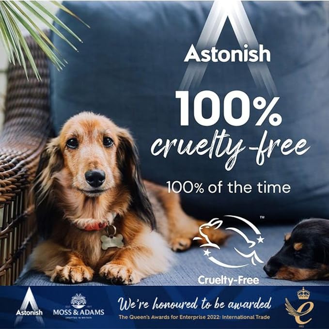 Astonish Zesty Lemon Scented Kitchen Cleaner - All Purpose Cleaning Solution Removes Grease, Grime, & Surface Stains - Cruelty Free Kitchen Grease And Multi Surface Cleaner - 750ml Spray Bottle