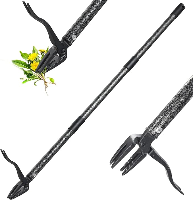 Weed Puller Tool, 4 Claw Stand Up Manual Weeder, Heavy Duty Weeding Tool with 60 inch Long Handle,Steel Head,Uprooting Dandelion Removal Gardening Tools for Farm Lawn Grass Removal