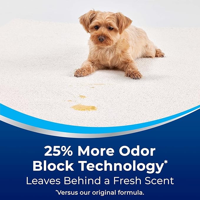 Woo-lite Carpet and Upholstery Foam Cleaner with Built-in Brush, Triple Action Stainlift Technology for Stairs, Fabrics, Pet Odors 12 oz