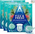 Astonish Foaming Eucalyptus Fresh Fizz & Fresh Bathroom Toilet Bowl Cleaner - Deep Cleaning Limescale, Calcium & Rust Stain Remover - Removes Hard to Reach Stains, 24 Tablets (3 Packs of 8)