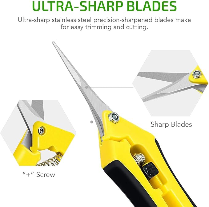 iPower 6.5 Inch Gardening Hand Pruner Pruning Shears Trimming Scissors with Straight Stainless Steel Blades for Bonsai, Herb, Bud, Hedge, 16-Pack, Yellow