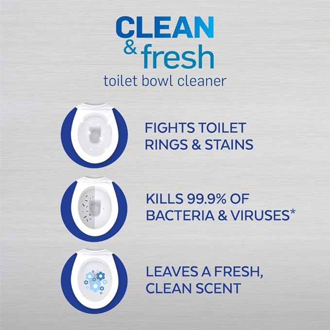 Lysol Toilet Bowl Cleaner Gel, For Cleaning and Disinfecting, Stain Removal, Forest Rain Scent, 24oz (Pack of 4)