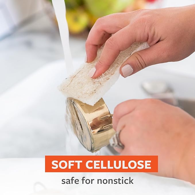 Full Circle Coconut Scrubber Sponges, Pack of 2 – Dual-Sided, Plant-Based Sponges Made with Coconut Shells, Cellulose & Recycled Materials, Safe for Nonstick Cookware