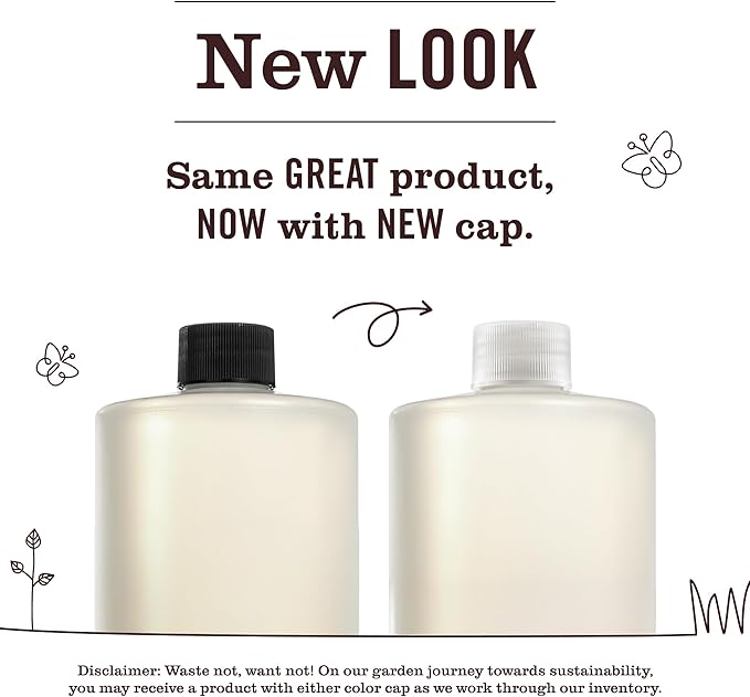 Mrs. MEYER'S CLEAN DAY Multi-Surface Everyday Concentrate, Rain Water Scent, 32 Fl Oz Bottle
