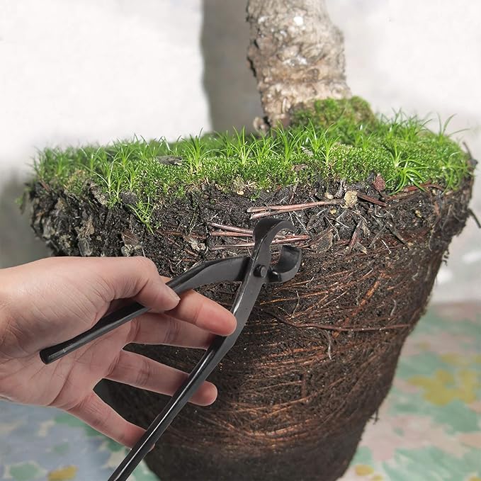 BambooMN 7.5" Root Cutter Tool - 1 Piece