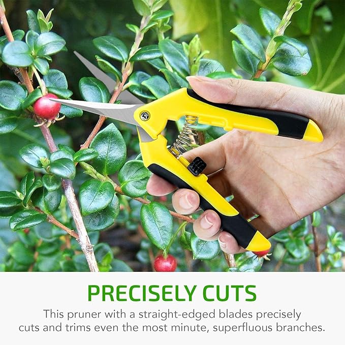 iPower 6.5 Inch Gardening Hand Pruner Pruning Shears Trimming Scissors with Straight Stainless Steel Blades for Bonsai, Herb, Bud, Hedge, 16-Pack, Yellow
