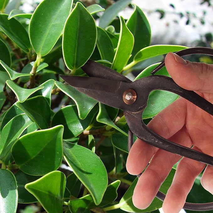 BambooMN Bonsai 7" Heavy Duty Butterfly Shear - 1 Piece