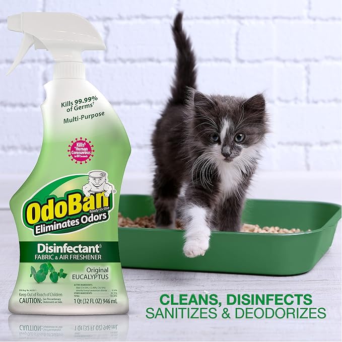 OdoBan Ready-to-Use Disinfectant and Odor Eliminator, Made in the USA, Original Eucalyptus Scent, Set of 3, 2 Spray Bottles, 32 Ounces Each and 1 Gallon Concentrate