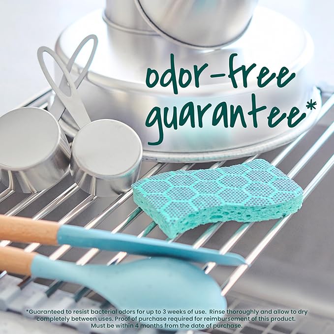 Scotch-Brite Odor Resist Heavy Duty Scrub Sponge, Dishwasher-Safe Kitchen sponges for Serious Scrubbing, Multipurpose Dish Sponge for Stuck-On Messes, 3 Scrubbing Sponges
