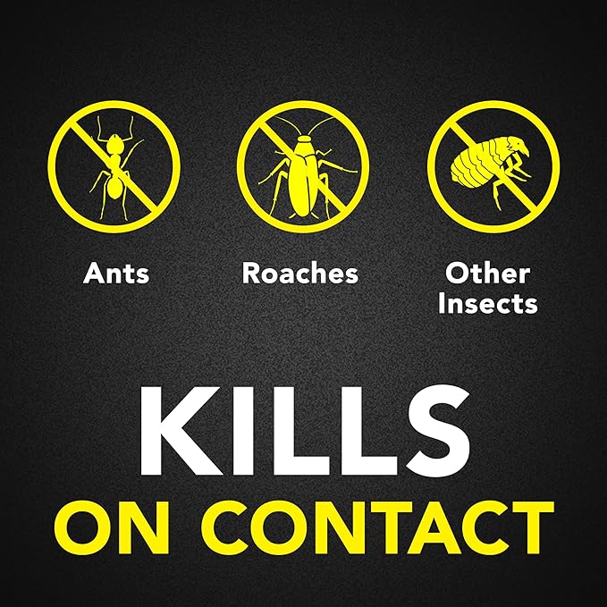 Raid Ant & Roach Killer Spray For Listed Bugs, Keeps Killing for Weeks, Lemon Scent, 17.5 oz
