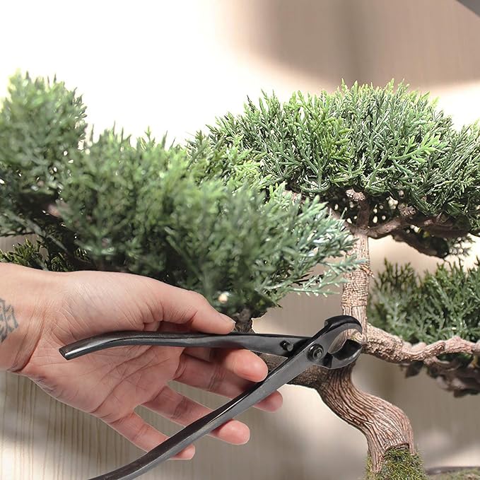 BambooMN Bonsai 8" Knob Cutter Tool - 1 Piece