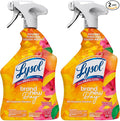 Lysol All Purpose Cleaner Spray, Multi-Purpose Disinfecting Spray, Kitchen & Bathroom Cleaner, Mango & Hibiscus Scent, 32 Fl Oz (Pack of 2)