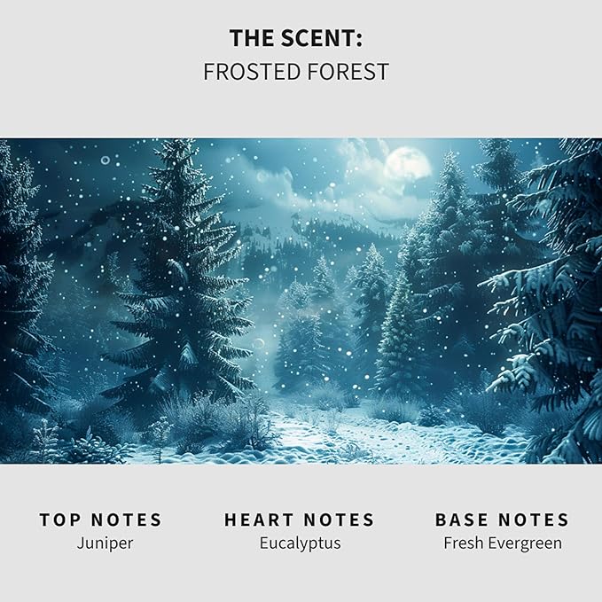 Lapew Frosted Forest Scented Mop Soap - Luxury Floor Cleaner Concentrate for Mopping Tile, Laminate, Vinyl & Hardwood | Streak-Free, Low-Foam | 36 oz