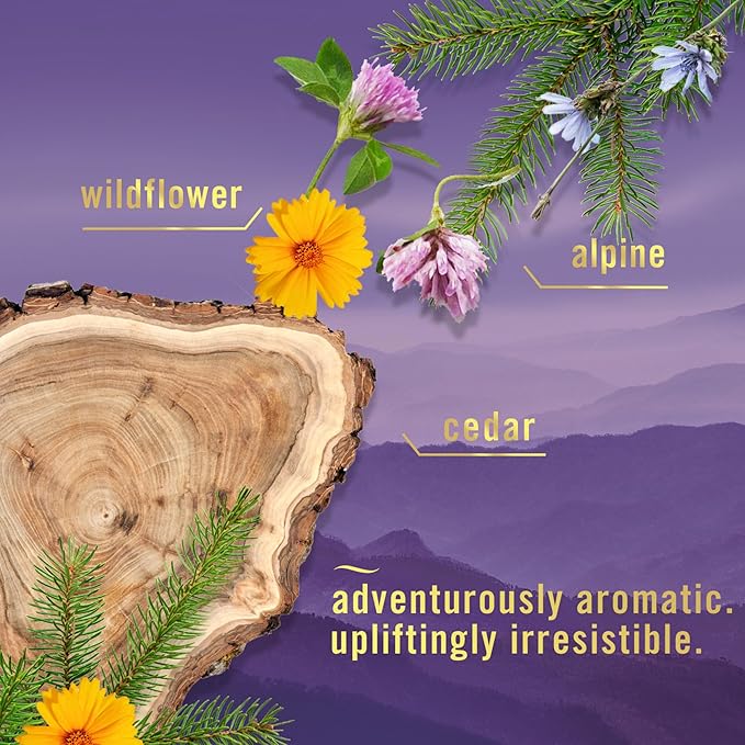 Febreze Touch Fabric Spray, Air Freshener, Odor-Fighting Fabric Refresher, Couch and Linen Spray, Sneaker Balls Alternative, Ocean and Mountain Scent, Multicolor, 16.9oz, 2ct