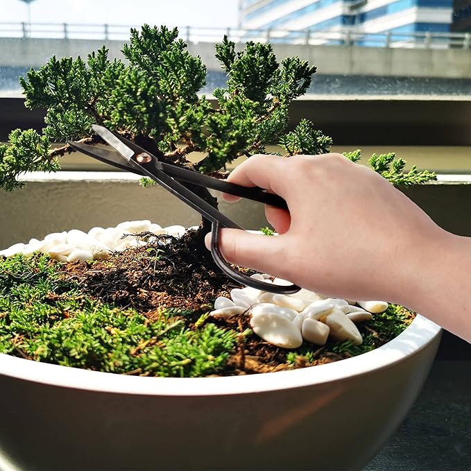 BambooMN Bonsai Basics Set - 7.2" Trimming Shears & 7" Heavy Duty Butterfly Shear - 1 Set