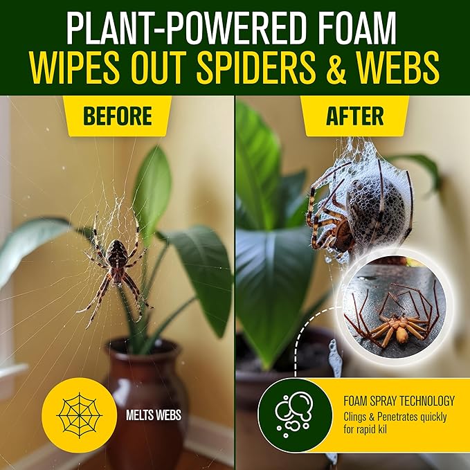 Green Guard Pest Control Spray - Indoor & Outdoor Killer of Ants, Roaches, Spiders & Other Crawling Insects, Safe Around Children & Pets, Plant-Based, Pleasant Scent (Citro Force, 32oz)