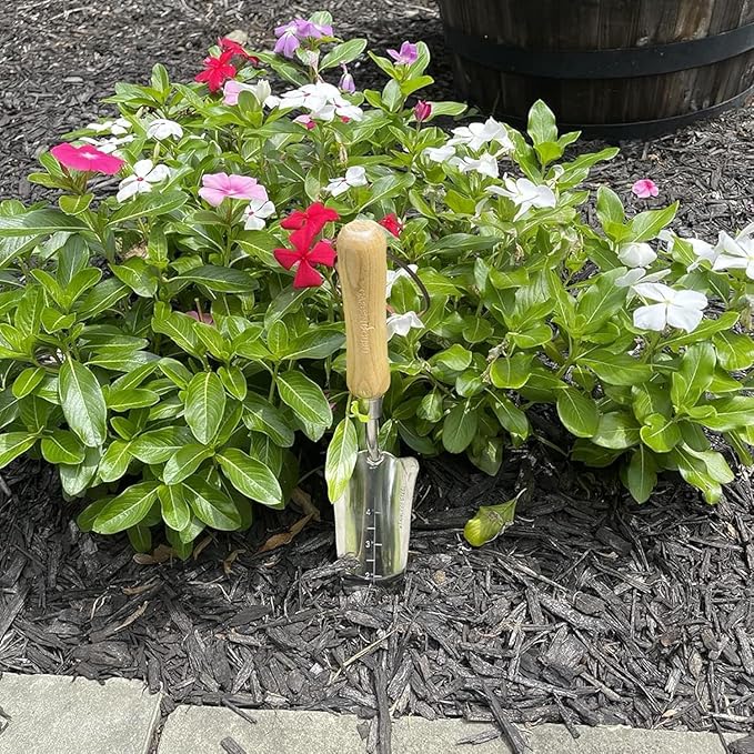 Garden Guru Eco Transplanter Trowel Shovel- 100% Recycled Stainless Steel - Rust Resistant - FSC Certified Wood Ergonomic Handle - Perfect Tool for Gardening Weeding Transplanting Digging (2 Pack)