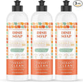 Therapy Clean Dish Soap - Fresh Herbs and Melon - 16 fl oz (Pack of 3), Biodegradable Natural Dishwashing Liquid, Liquid DIsh Soap
