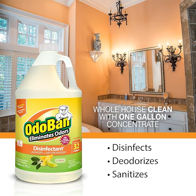 OdoBan Ready-to-Use Disinfectant and Odor Eliminator, Made in the USA, Citrus Scent, Set of 3, 2 Spray Bottles, 32 Ounces Each and 1 Gallon Concentrate