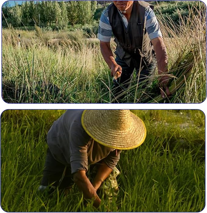 1pce 300mm/11.81in Carbon Steel Billhook Brush Clearing Sickle for Grass,Weeding Tools for Garden,Curved Sawtooth Sickle,Machete Axe for Cutting Trees,Steel Blade Knife in Hand