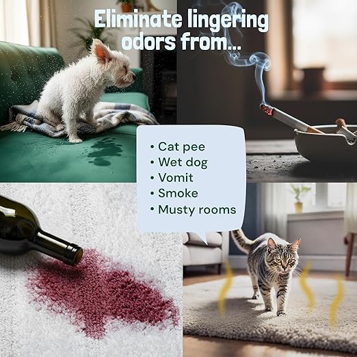 Sunny & Honey Carpet Deodorizer Powder - Pet Safe Freshener for Carpets, Pet Beds and Car Seats - Berry Odor Eliminator for Cat Urine and Wet Dog Smells (20 oz)