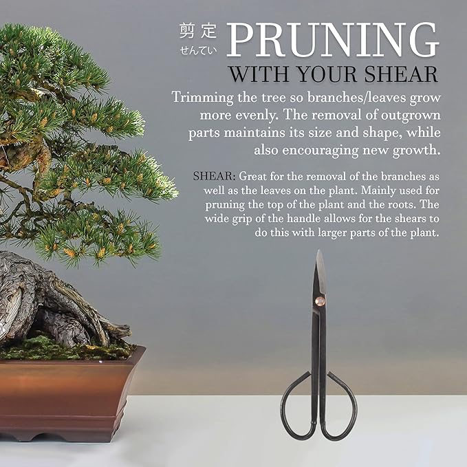 BambooMN 7.2" Black Bonsai Trimming Shear - 3 Pieces