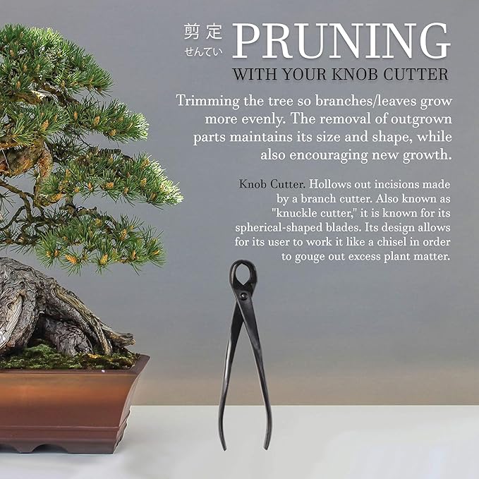 BambooMN Bonsai Basics Set - 8" Knob Cutter and 7.2" Trimming Shear - 10 Sets