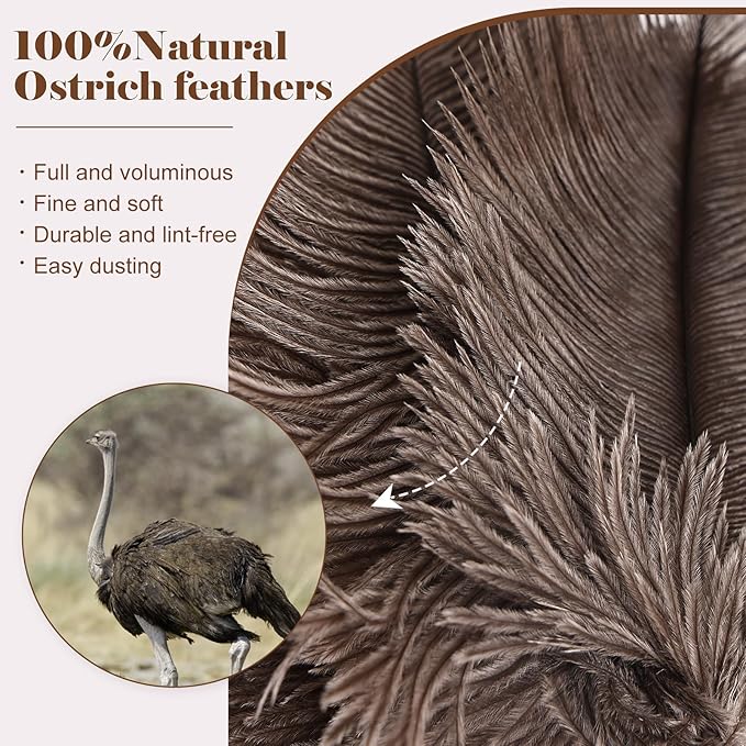 Natural Ostrich Feather Duster 14.9 inch Fluffy Mini Dusters with Plastic Handheld for Cleaning Car Keyboard Office 6 PCS