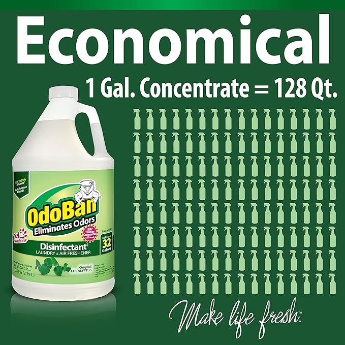 OdoBan Ready-to-Use Disinfectant and Odor Eliminator, Made in the USA, Original Eucalyptus Scent, Set of 3, 2 Spray Bottles, 32 Ounces Each and 1 Gallon Concentrate