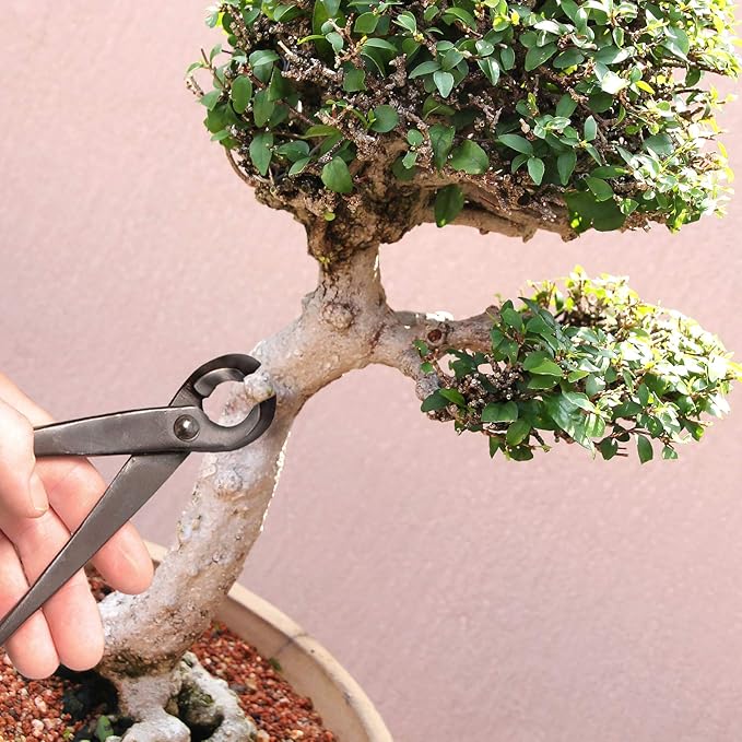 BambooMN Bonsai 8" Concave Cutter Tool - 3 Pieces