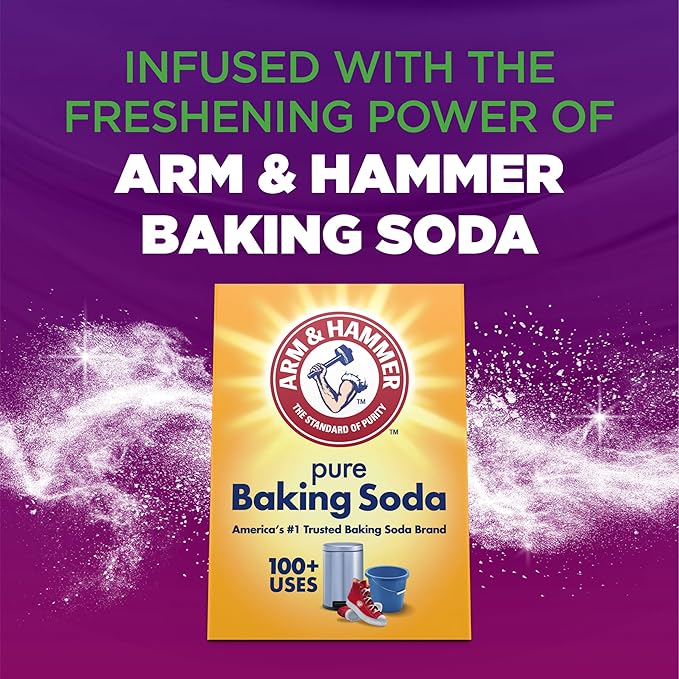 ARM & HAMMER Odor Blasters In-Wash Scent Booster, Fresh Botanical, 24 Oz