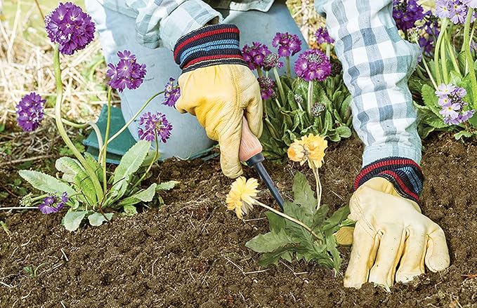 AMES 2447000 Tempered Steel Hand Weeder with Wood Handle, 12-Inch