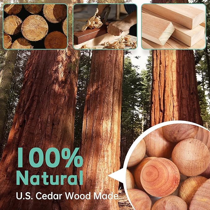 Cedar Blocks for Clothes Storage 100 Pack, 100% Natural Aromatic Cedar Rings and Balls for Closets & Drawers Freshener (60 Rings & 40 Balls)