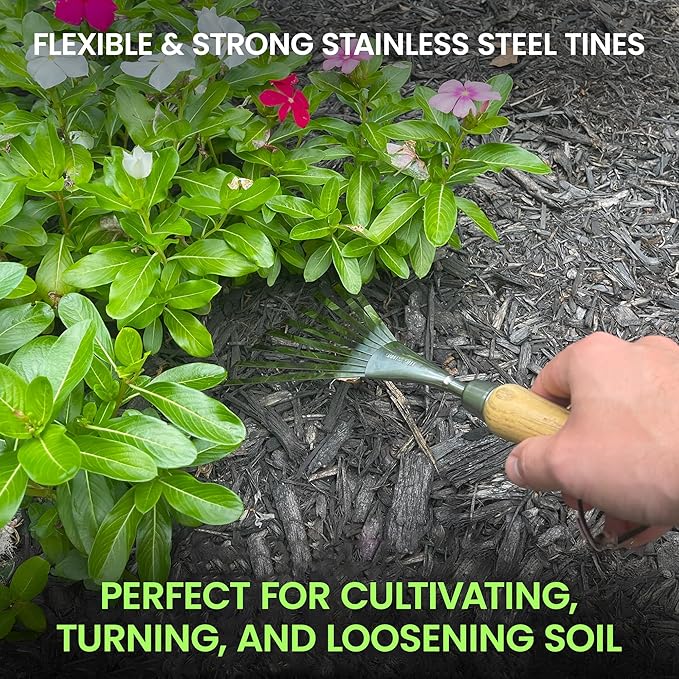 Garden Guru Eco Hand Rake Soil Tiller- 100% Recycled Stainless Steel - Rust Resistant - FSC Certified Wood Ergonomic Handle - Great for Gardening Cultivating,Loosening Soil & Spreading Mulch (4 Pack)